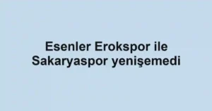 Esenler Erokspor ile Sakaryaspor yenişemedi
