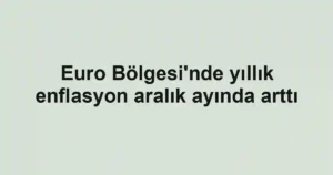 Euro Bölgesi'nde yıllık enflasyon aralık ayında arttı