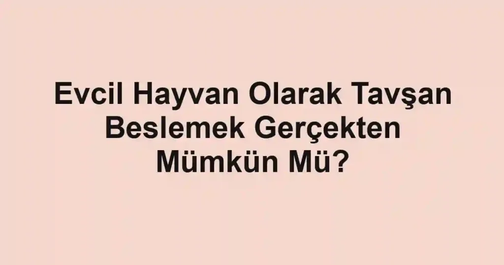 Evcil Hayvan Olarak Tavşan Beslemek Gerçekten Mümkün Mü?