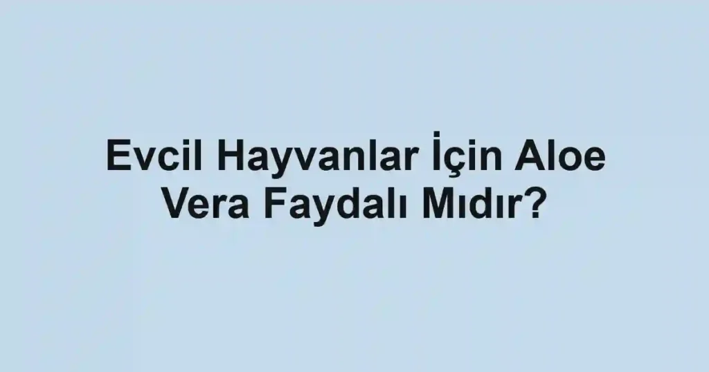 Evcil Hayvanlar İçin Aloe Vera Faydalı Mıdır?