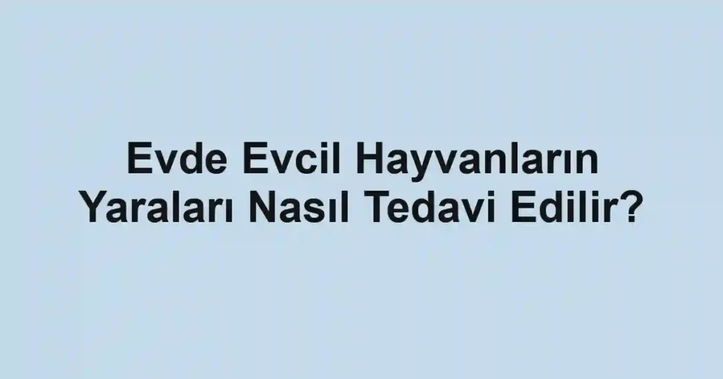 Evde Evcil Hayvanların Yaraları Nasıl Tedavi Edilir?
