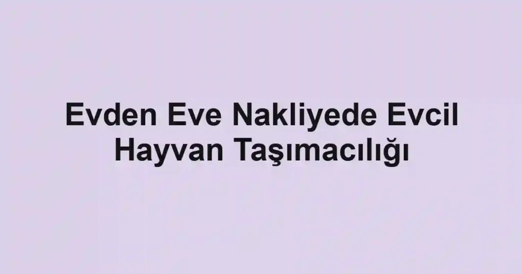 Evden Eve Nakliyede Evcil Hayvan Taşımacılığı