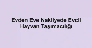 Evden Eve Nakliyede Evcil Hayvan Taşımacılığı