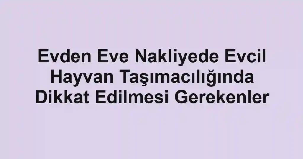 Evden Eve Nakliyede Evcil Hayvan Taşımacılığında Dikkat Edilmesi Gerekenler