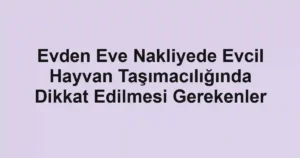 Evden Eve Nakliyede Evcil Hayvan Taşımacılığında Dikkat Edilmesi Gerekenler