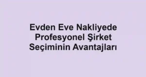 Evden Eve Nakliyede Profesyonel Şirket Seçiminin Avantajları