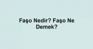 Faşo Nedir? Faşo Ne Demek?