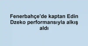 Fenerbahçe'de kaptan Edin Dzeko performansıyla alkış aldı