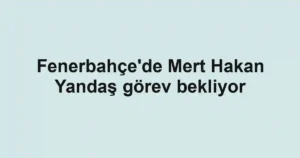 Fenerbahçe'de Mert Hakan Yandaş görev bekliyor