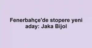 Fenerbahçe'de stopere yeni aday: Jaka Bijol