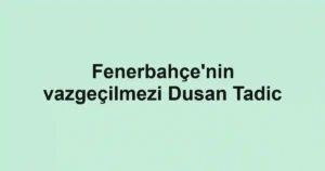 Fenerbahçe'nin vazgeçilmezi Dusan Tadic