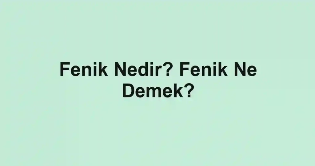 Fenik Nedir? Fenik Ne Demek?