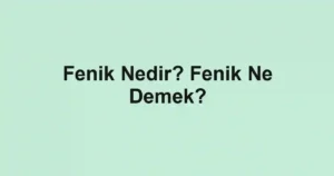 Fenik Nedir? Fenik Ne Demek?