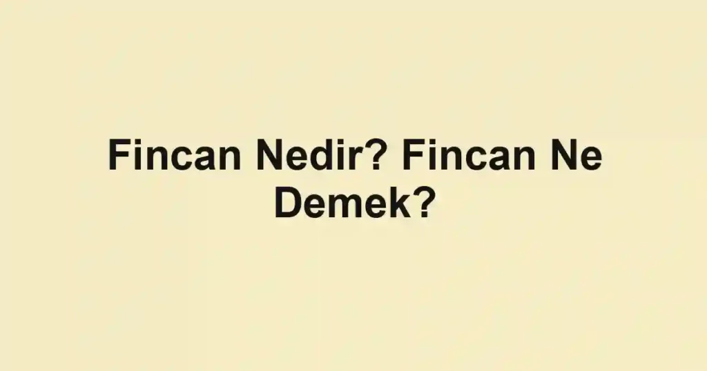 Fincan Nedir? Fincan Ne Demek?
