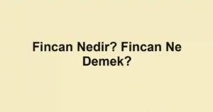 Fincan Nedir? Fincan Ne Demek?