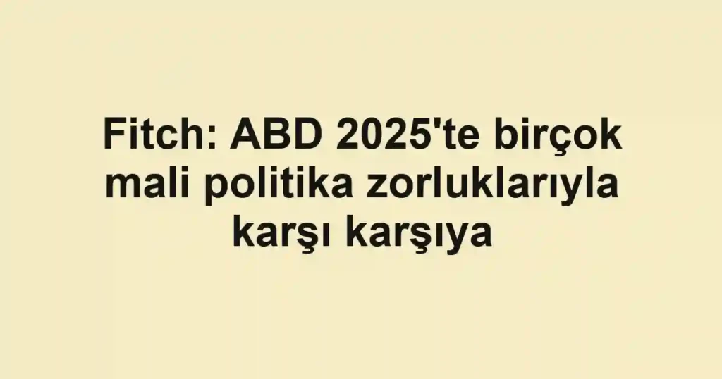 Fitch: ABD 2025'te birçok mali politika zorluklarıyla karşı karşıya