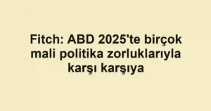 Fitch: ABD 2025'te birçok mali politika zorluklarıyla karşı karşıya