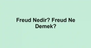 Freud Nedir? Freud Ne Demek?