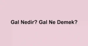Gal Nedir? Gal Ne Demek?