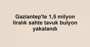 Gaziantep'te 1,5 milyon liralık sahte tavuk bulyon yakalandı