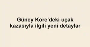 Güney Kore’deki uçak kazasıyla ilgili yeni detaylar
