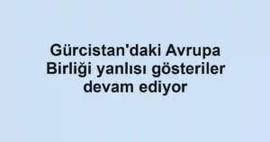 Gürcistan'daki Avrupa Birliği yanlısı gösteriler devam ediyor