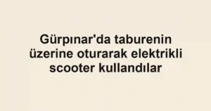 Gürpınar'da taburenin üzerine oturarak elektrikli scooter kullandılar