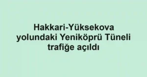 Hakkari-Yüksekova yolundaki Yeniköprü Tüneli trafiğe açıldı