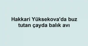 Hakkari Yüksekova'da buz tutan çayda balık avı