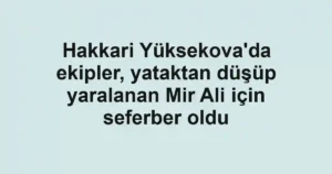 Hakkari Yüksekova'da ekipler, yataktan düşüp yaralanan Mir Ali için seferber oldu