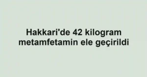 Hakkari'de 42 kilogram metamfetamin ele geçirildi