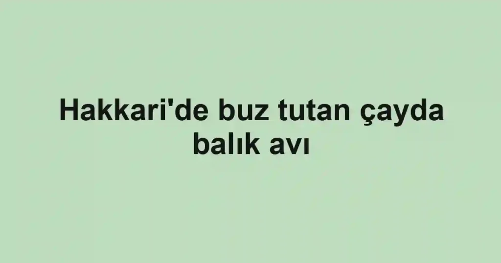 Hakkari'de buz tutan çayda balık avı