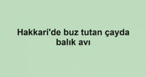 Hakkari'de buz tutan çayda balık avı