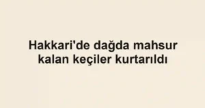 Hakkari'de dağda mahsur kalan keçiler kurtarıldı