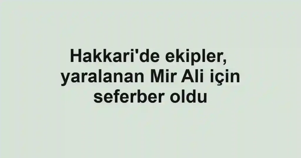 Hakkari'de ekipler, yaralanan Mir Ali için seferber oldu
