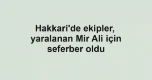 Hakkari'de ekipler, yaralanan Mir Ali için seferber oldu