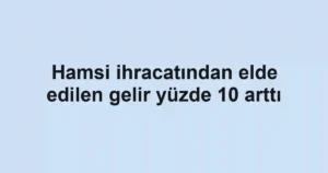 Hamsi ihracatından elde edilen gelir yüzde 10 arttı