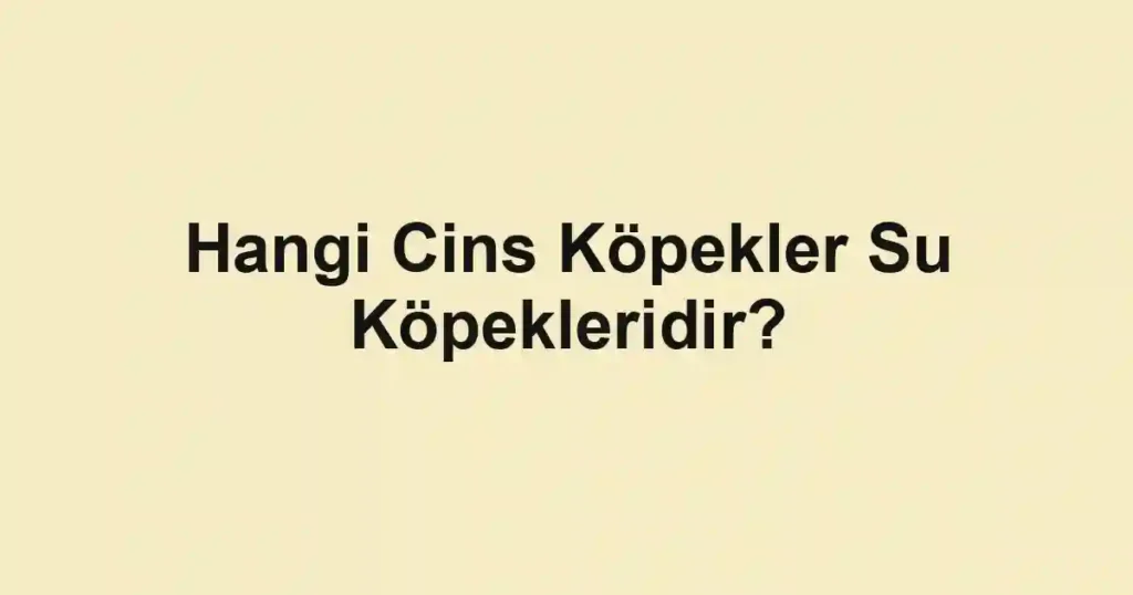 Hangi Cins Köpekler Su Köpekleridir?