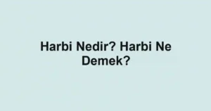 Harbi Nedir? Harbi Ne Demek?