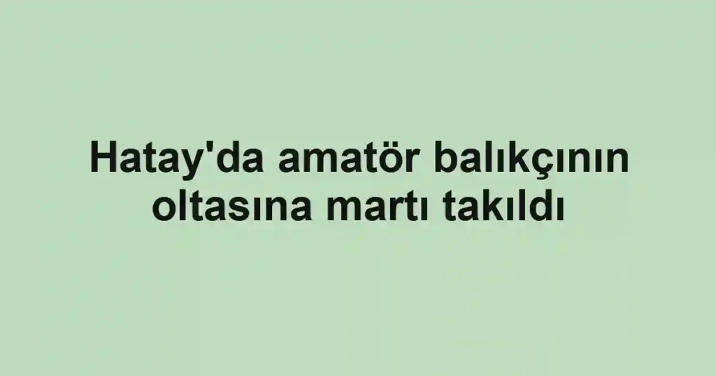 Hatay'da amatör balıkçının oltasına martı takıldı