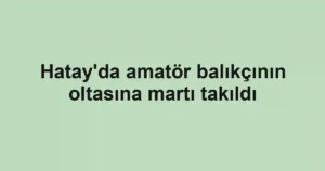 Hatay'da amatör balıkçının oltasına martı takıldı