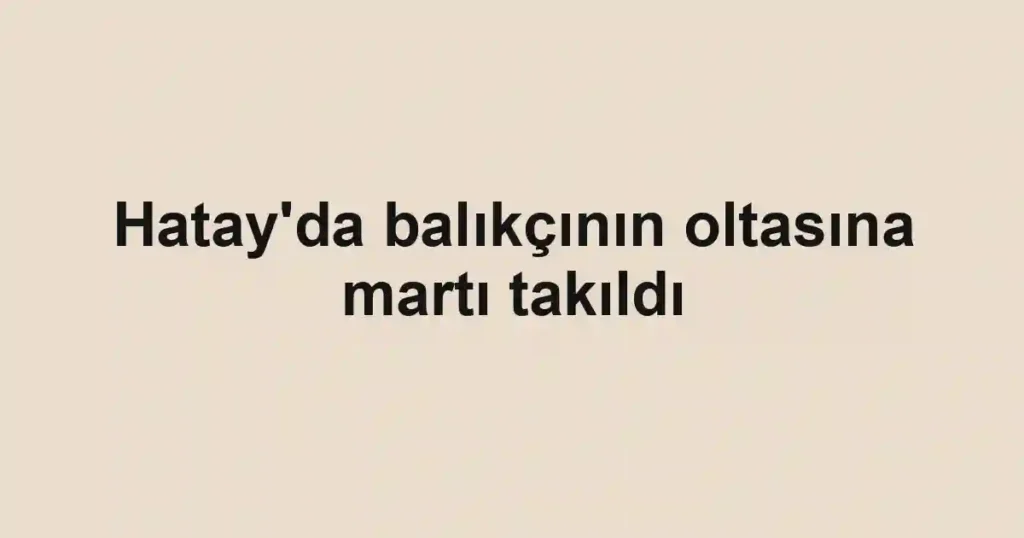 Hatay'da balıkçının oltasına martı takıldı