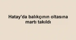 Hatay'da balıkçının oltasına martı takıldı