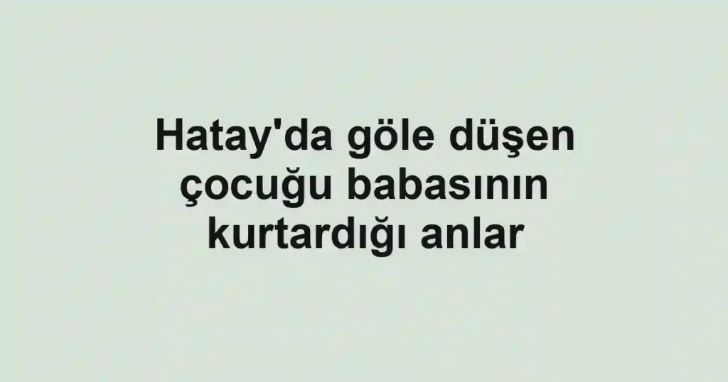 Hatay'da göle düşen çocuğu babasının kurtardığı anlar