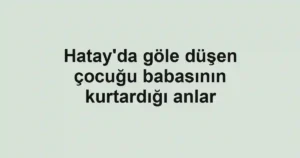 Hatay'da göle düşen çocuğu babasının kurtardığı anlar