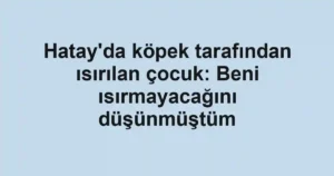 Hatay'da köpek tarafından ısırılan çocuk: Beni ısırmayacağını düşünmüştüm