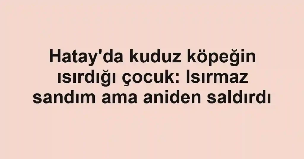 Hatay'da kuduz köpeğin ısırdığı çocuk: Isırmaz sandım ama aniden saldırdı