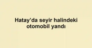 Hatay’da seyir halindeki otomobil yandı