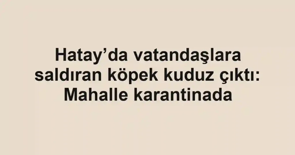 Hatay’da vatandaşlara saldıran köpek kuduz çıktı: Mahalle karantinada