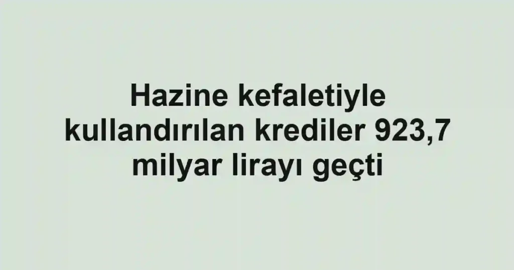 Hazine kefaletiyle kullandırılan krediler 923,7 milyar lirayı geçti